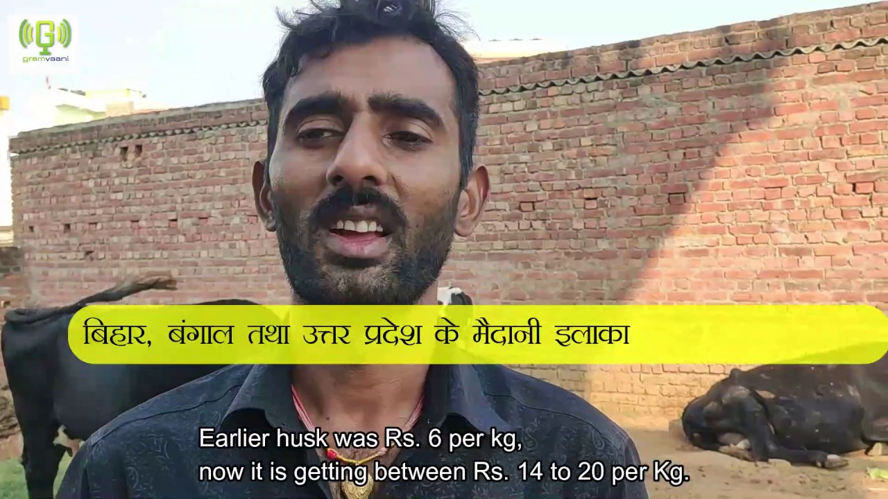 Conditions of livestock and herdsmen in rural India amidst lockdown - youtube